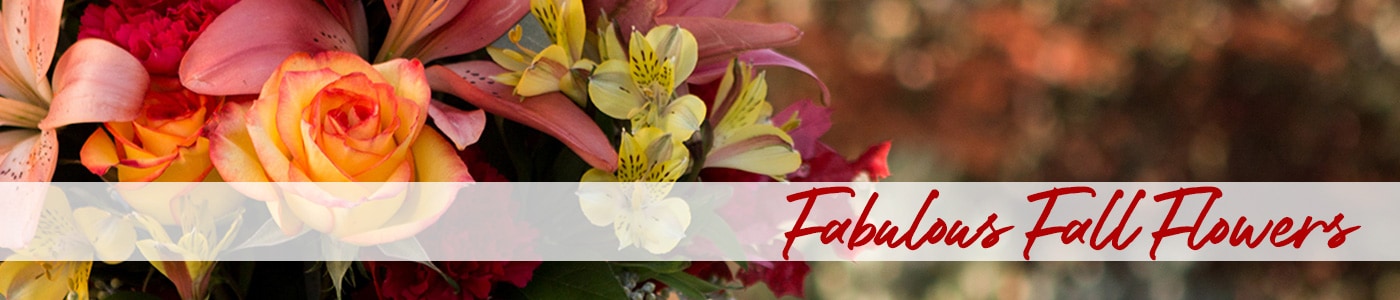Send fall flowers